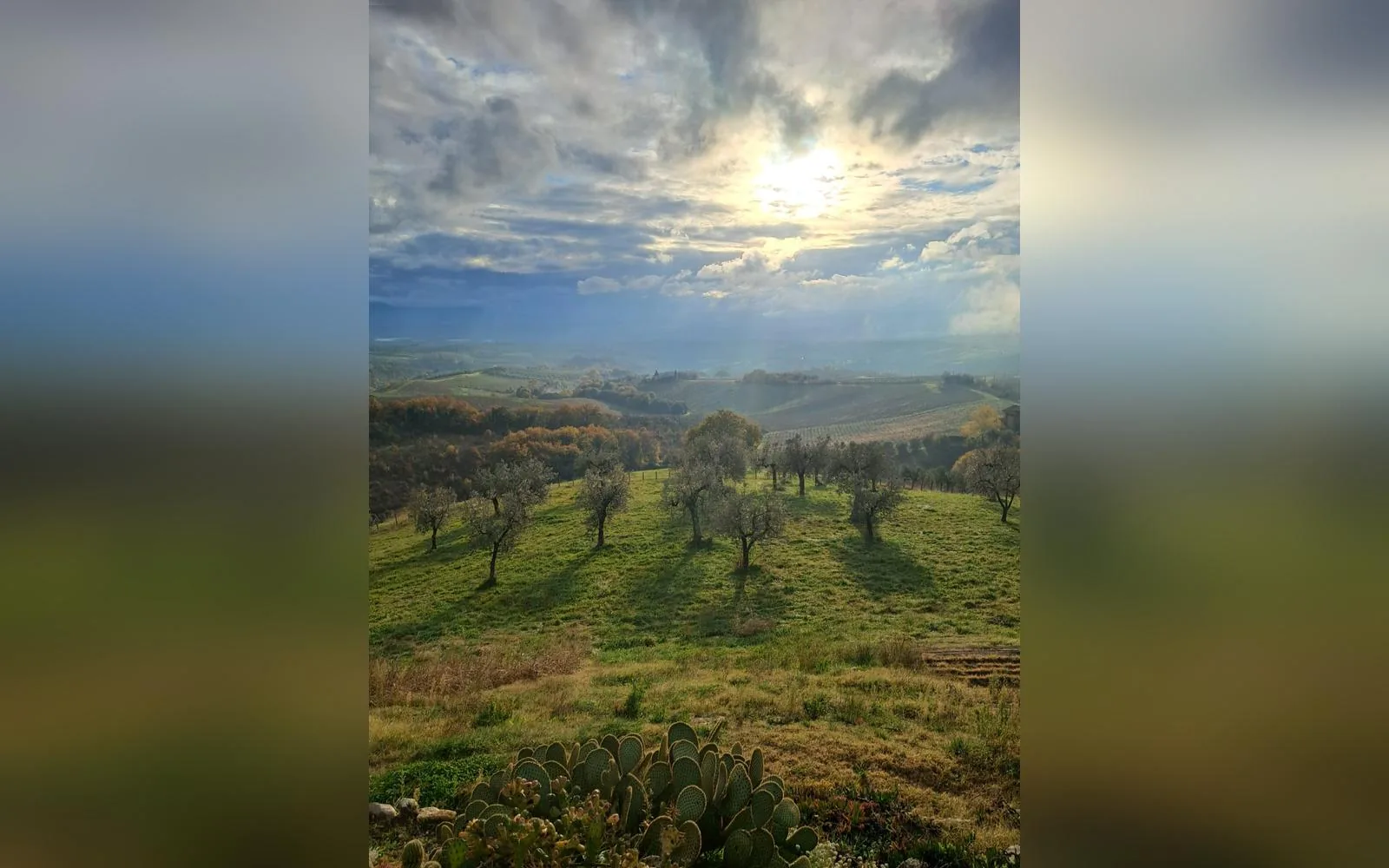 Camera con bagno privato — Casale Poggio Della Volara, terni (Umbria) (foto 20)