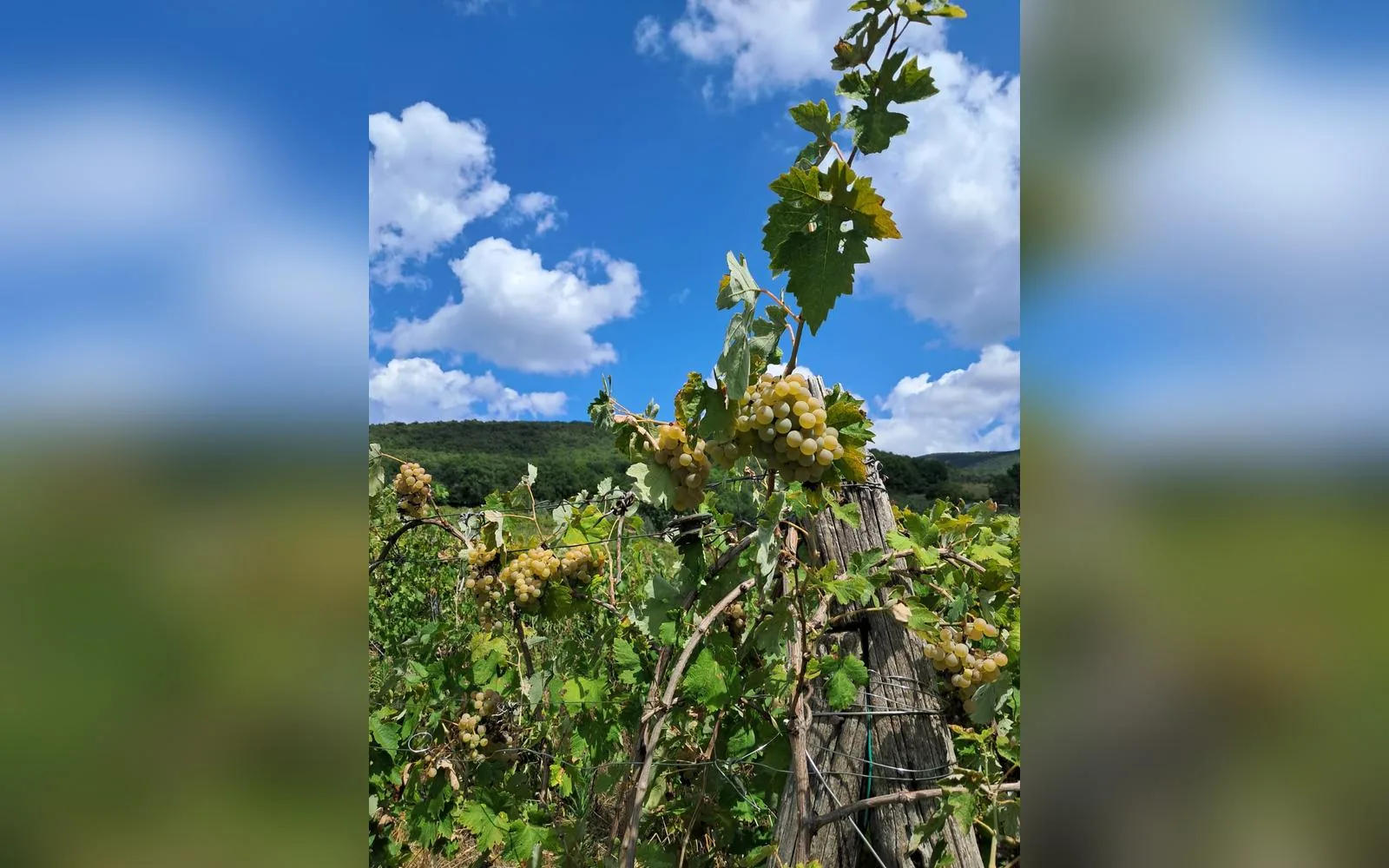Camera con bagno privato — Casale Poggio Della Volara, terni (Umbria) (foto 22)